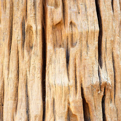 Vintage wood Old surface Wood texture Natural background Nature Design Interior	