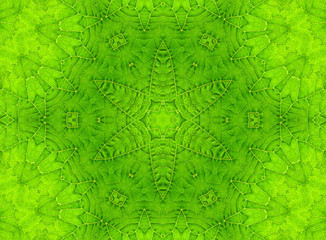 Green leaf abstract pattern