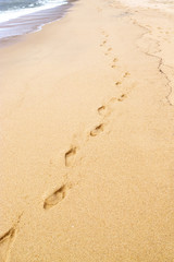 Foot prints made by bare feet in wet sand