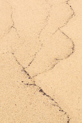 Marks from the tides on Tropical North Queensland beach