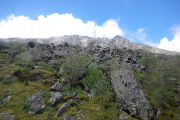 Altay
