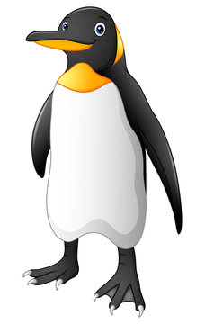 Cartoon funny emperor penguin standing 