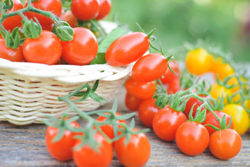Tomato in basket on wood from Thailand selective and soft focus