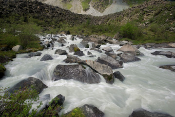 Altay