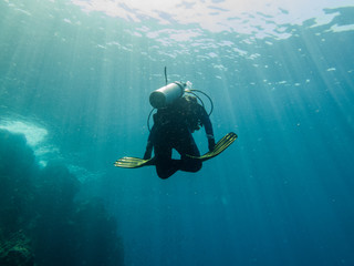 the diver is diving in the sea, Philippines