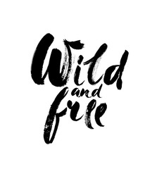Wild and free - Hand drawn inspirational quote. Vector isolated typography design element. Brush lettering quote. Good for posters, t-shirt prints, cards, banners.