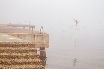 A concreate pier, old rusty stairs and seagulls in foggy day