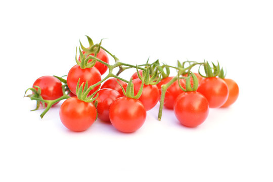 Close up group of tomato on white background