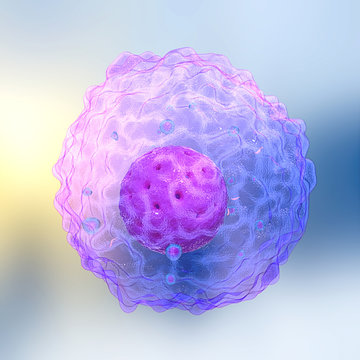 3D render,illustration.Lymphocytes are white blood cells or leucocytes in the human immune system consisting of B and T cells which form antibodies for immunity and natural killer cells 