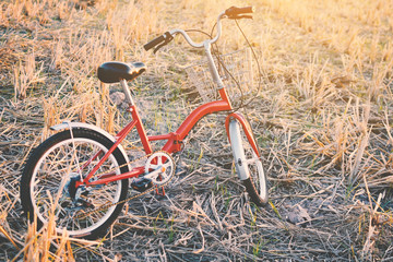 Vintage of bicycle on grass field, selective and soft focus