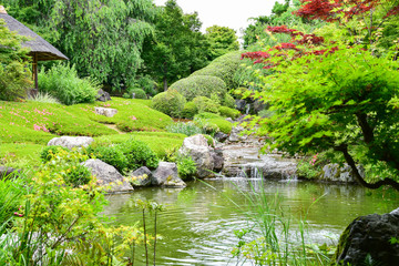 Fototapeta na wymiar 退蔵院　日本庭園