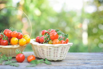Tomato in basket on wood from Thailand selective and soft focus