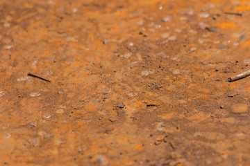 metal wall