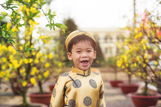 Happy Kid Having Fun With Traditional Dress (ao Dai) In Ochna Integerrima (Hoa Mai) Garden. Hoa Mai Flower Is Used For Decoration In Lunar New Year In Vietnam. Tet Holiday.