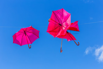 parasols roses chahutés par le vent 