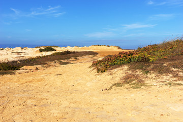Sandiger Weg durch die Dünen zum Strand
