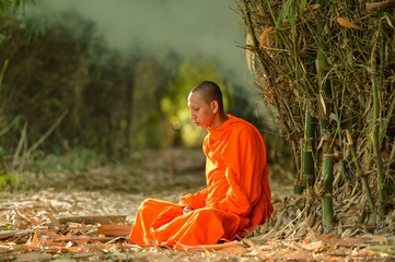 Buddhist monks is Novice learning,Thailand