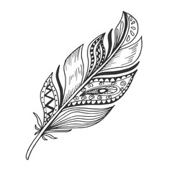Beautiful hand drawn feather doodle, curly boho sketch isolated on white background. Vintage vector illustration.