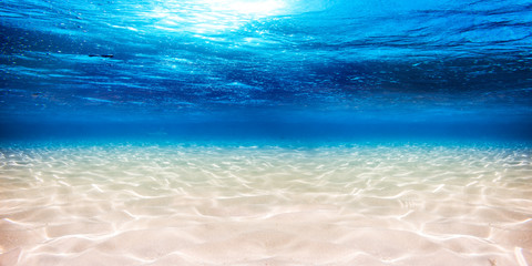 empty underwater panorama beach sandy lagoon banner backround blue sea ocean / Unterwasser lagune...