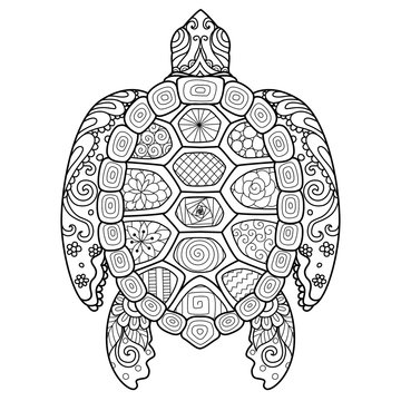 Zendoodle stylized turtle for T-Shirt design,tattoo and adult coloring book page