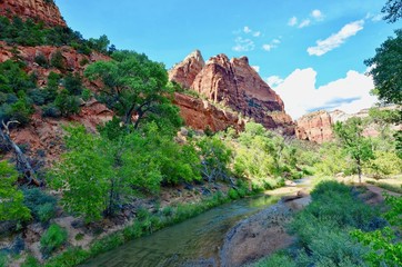River in Zion National Park surrounded in mountains and trees