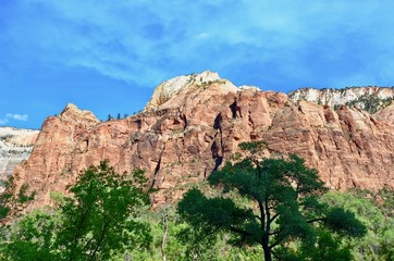 Fototapeta premium A mountain in Zion National Park