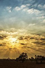 sky, cloud, rising sun, cornfield, abstract, background 
