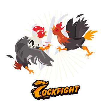 Cockfighting. character design come with typographic for infographic or header design - vector