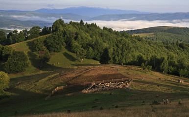 Sheep pen in sunrise