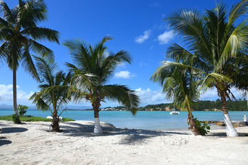 Fototapeta premium Le gosier en guadeloupe