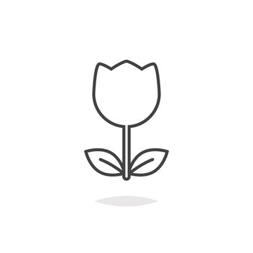 Tulip flower icon outline
