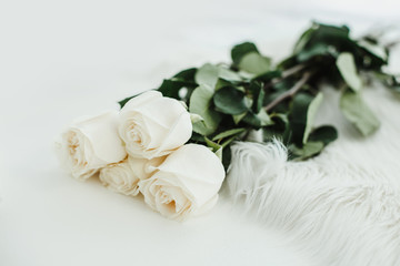 White roses on a white background