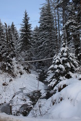 The mountains in winter. Carpathians