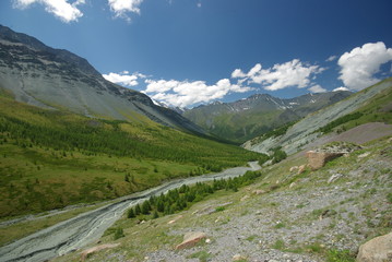 Altay
