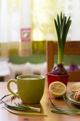 Tea with lemon and croissant for fresh spring breakfast on wooden table