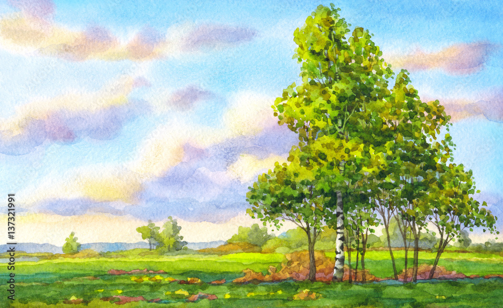 Wall mural watercolor landscape. the trees in the evening field