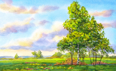 Naklejka premium Watercolor landscape. The trees in the evening field