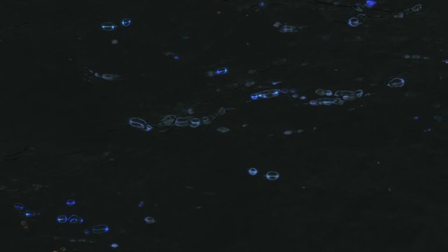 Alien glowing forms under water.(loop ready)