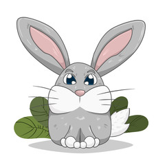 Little rabbit on lawn