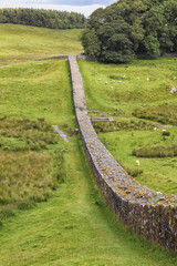 Hadrian's wall trhough the fields of Northumberland
