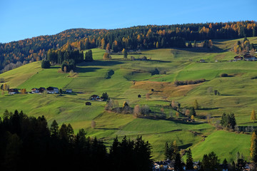 Fototapeta na wymiar Herbstliche Wiesenlandschaft mit bunten Bäumen bei Prags in Südtirol, Italien