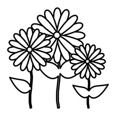 flowers icon stock image, vector illustration design