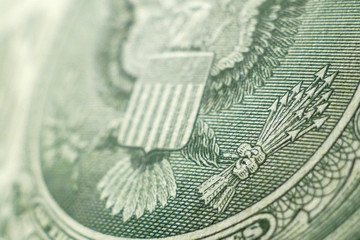 Part of One Dollar Bill Macro Shot