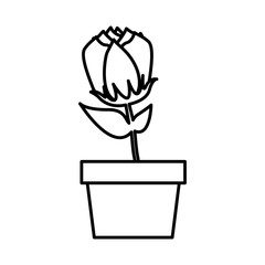 roses icon stock image, vector illustration design