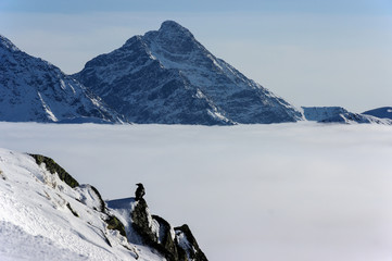 Great mountain peak in winter landscape. Inversion of clouds. Tatry