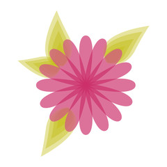 flowers icon stock image, vector illustration design