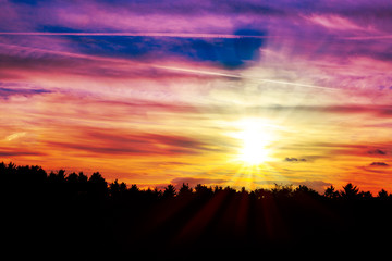 Sunrise over black forest mist.