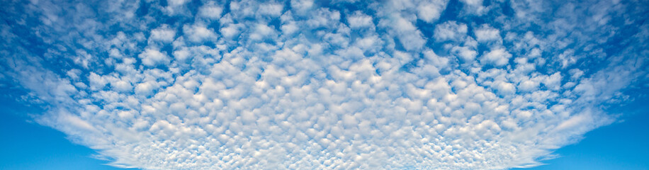 Obraz premium Panorama błękitnego nieba i kształtów lecących chmur. Niebiańskie tło w mocno wzorzystym topie. Wolny lot atmosferyczny i wolność.