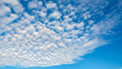 Naklejka na ściany i meble Blue sky and the shapes of flying clouds. Heavenly background in a highly patterned top. Free space atmospheric flight and freedom.
