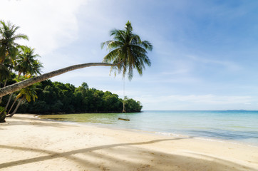 Swing hang from coconut palm tree over beach sea in Phuket ,Thailand. Summer, Travel, Vacation and Holiday concept